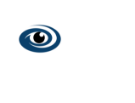 IDS - Immersion Data Solutions